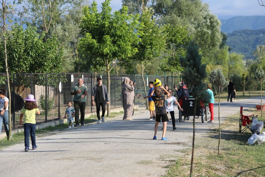 534633247 1200889898746767 7040516998617888446 N 1024X683