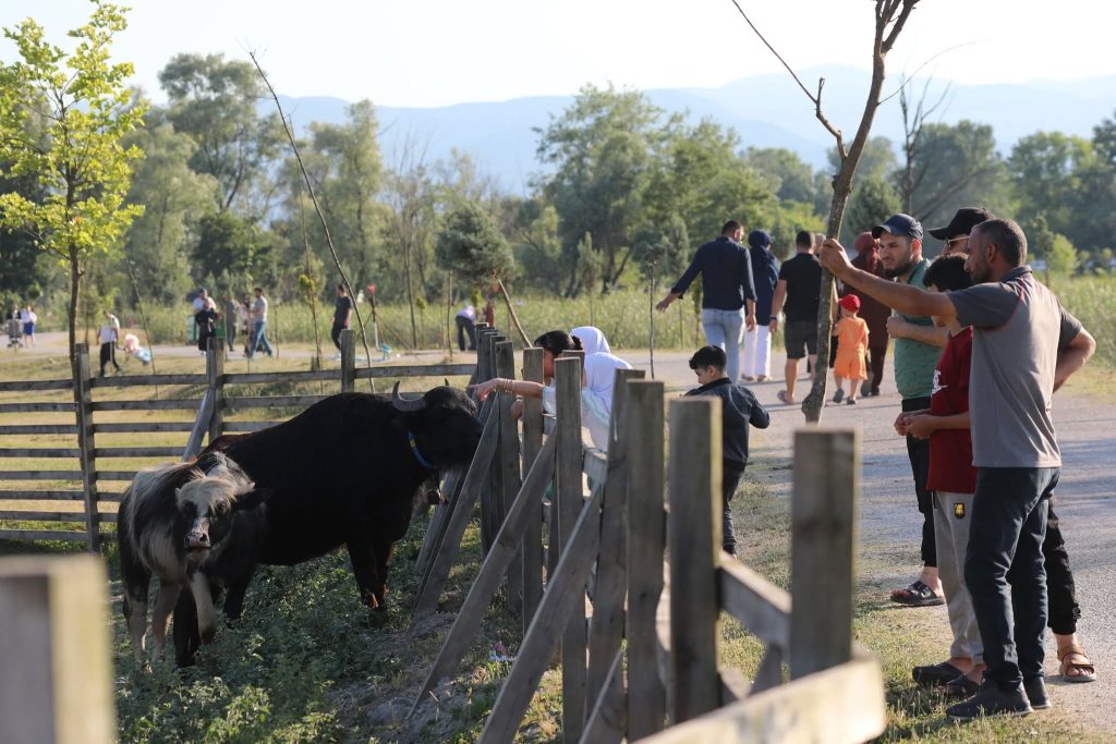 534739776 1200889858746771 5255247681300788342 N 1024X683