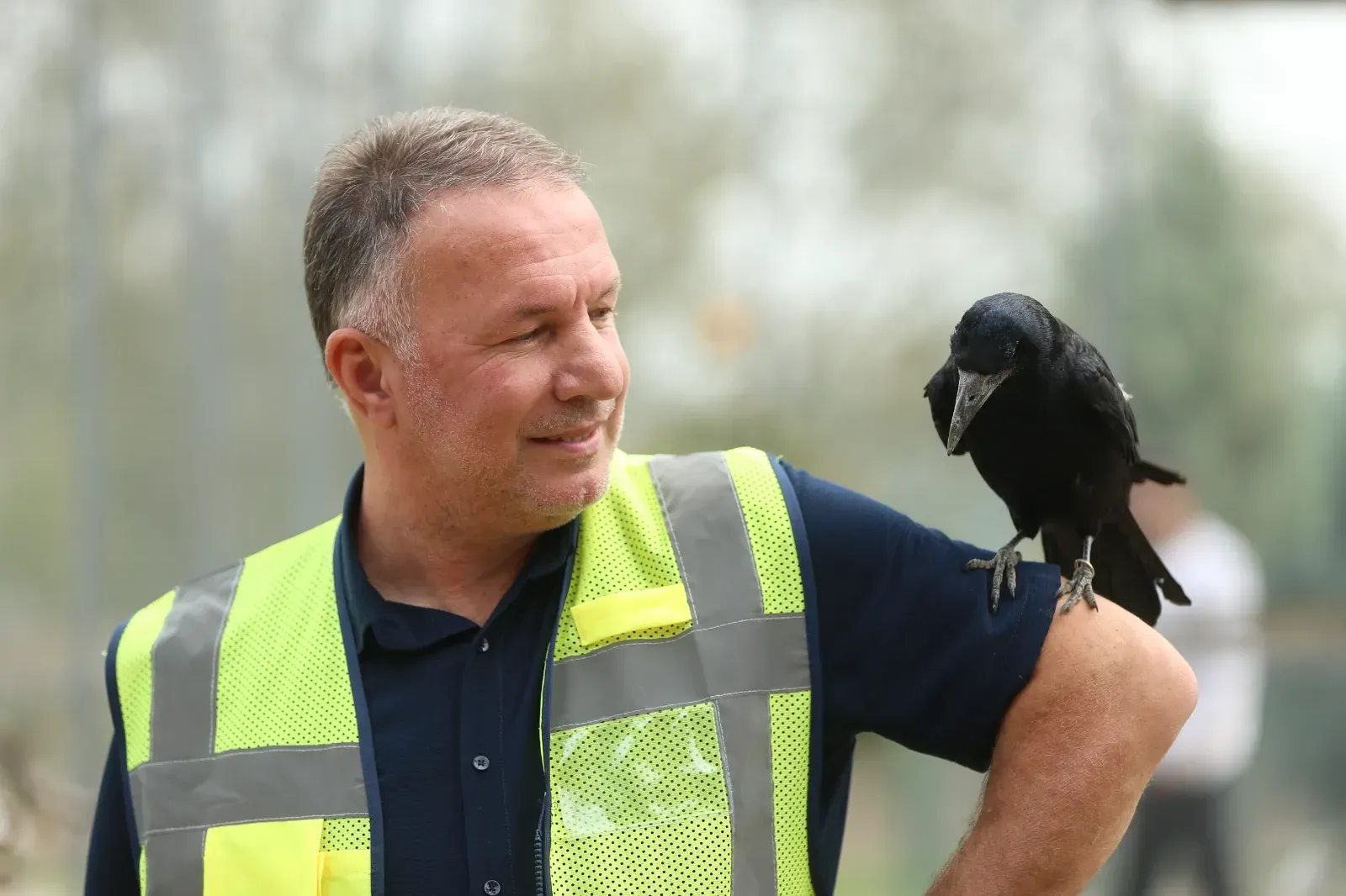 Aa 20251116 39721167 39721166 Sakaryadaki Tabiat Parkinda Iyilesen Karga Insanlara Yakinligiyla Dikkati Cekiyor