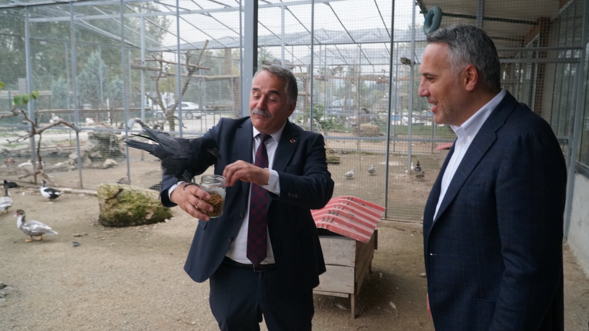 G5 G Fs Q G X Y A A6Y Ix