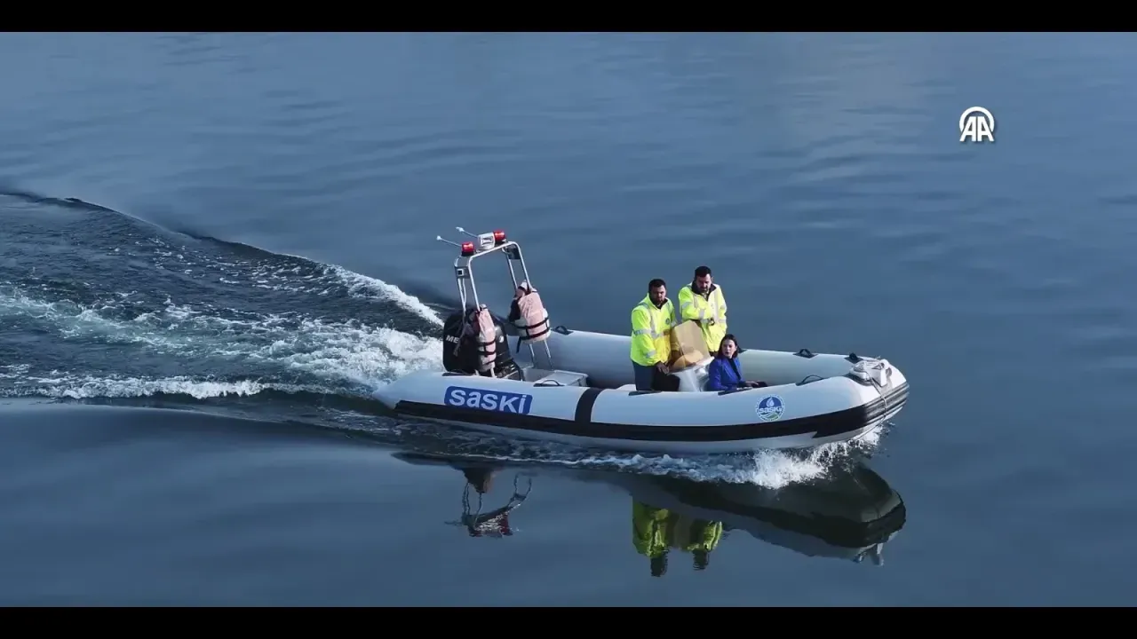 Vlcsnap 2025 12 17 13H33M01S848