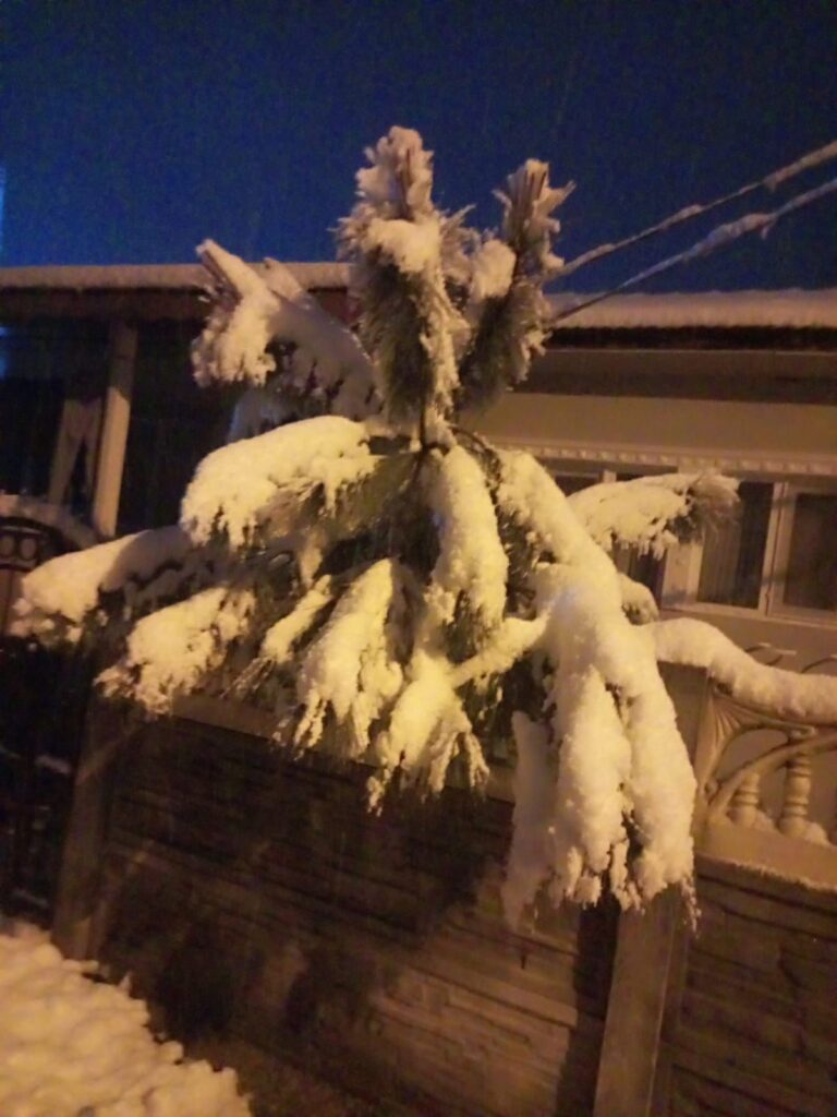 18F284C9 4Ad1 4F1C Ba81 B74841400Be7 768X1024