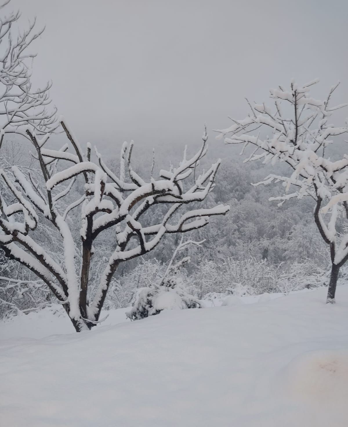 743611F0 9821 478B 9B85 3B7D7042Ec0C