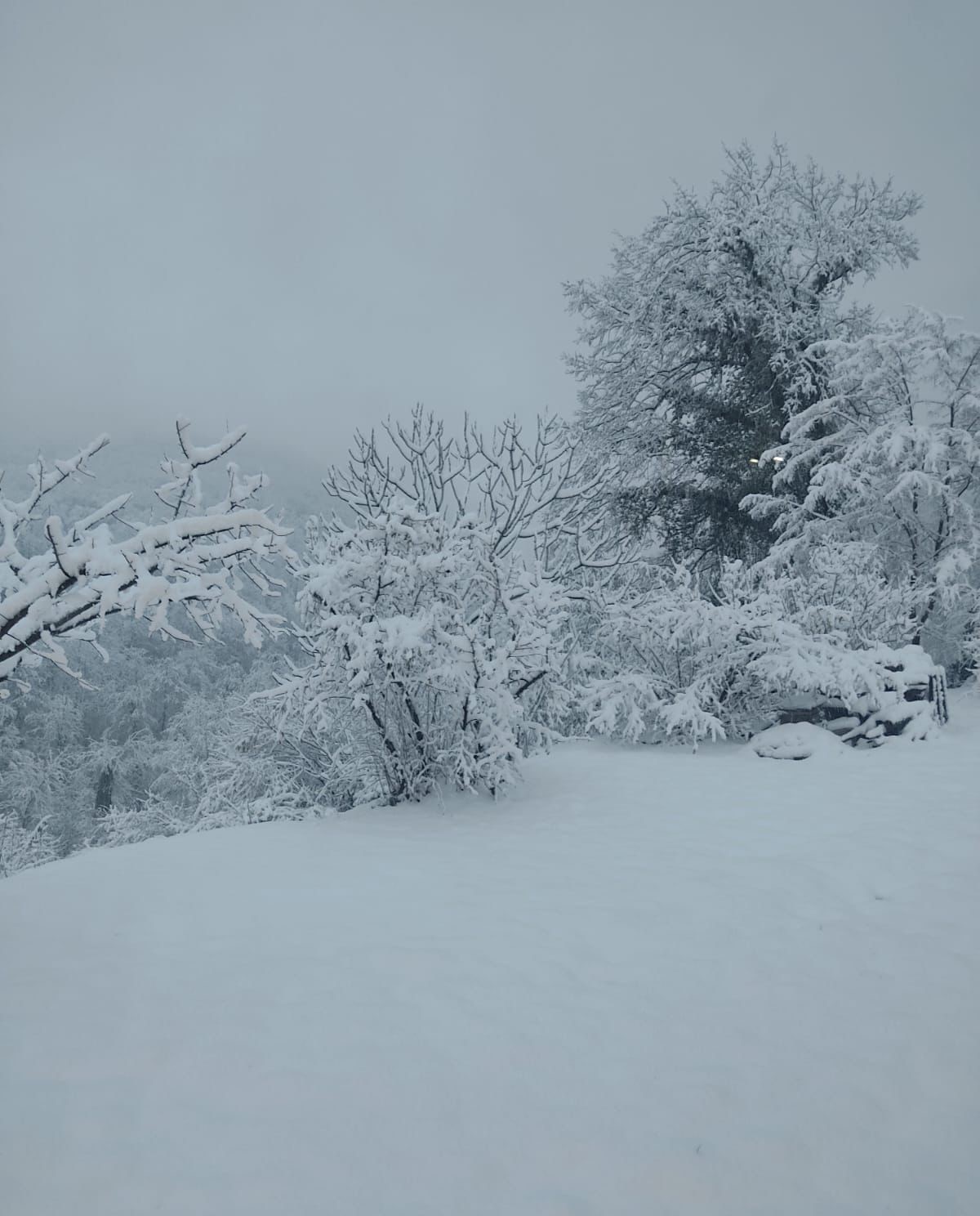 75Aaae49 Bc4F 499F 89E7 35A799E6Bdd7