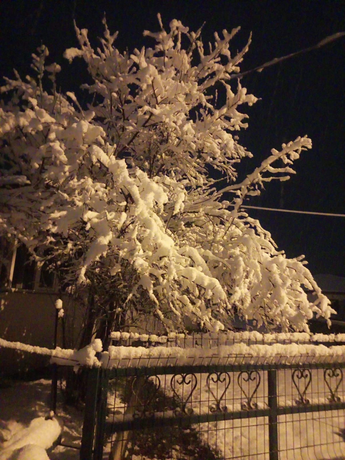 E220369C 629A 4458 Bb95 9Cb27Ca068Fd