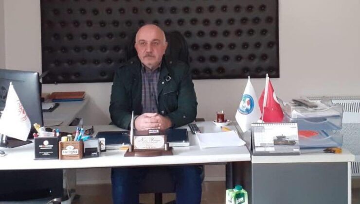 93691574 3238801346153952 4370118812679274496 N 740X420