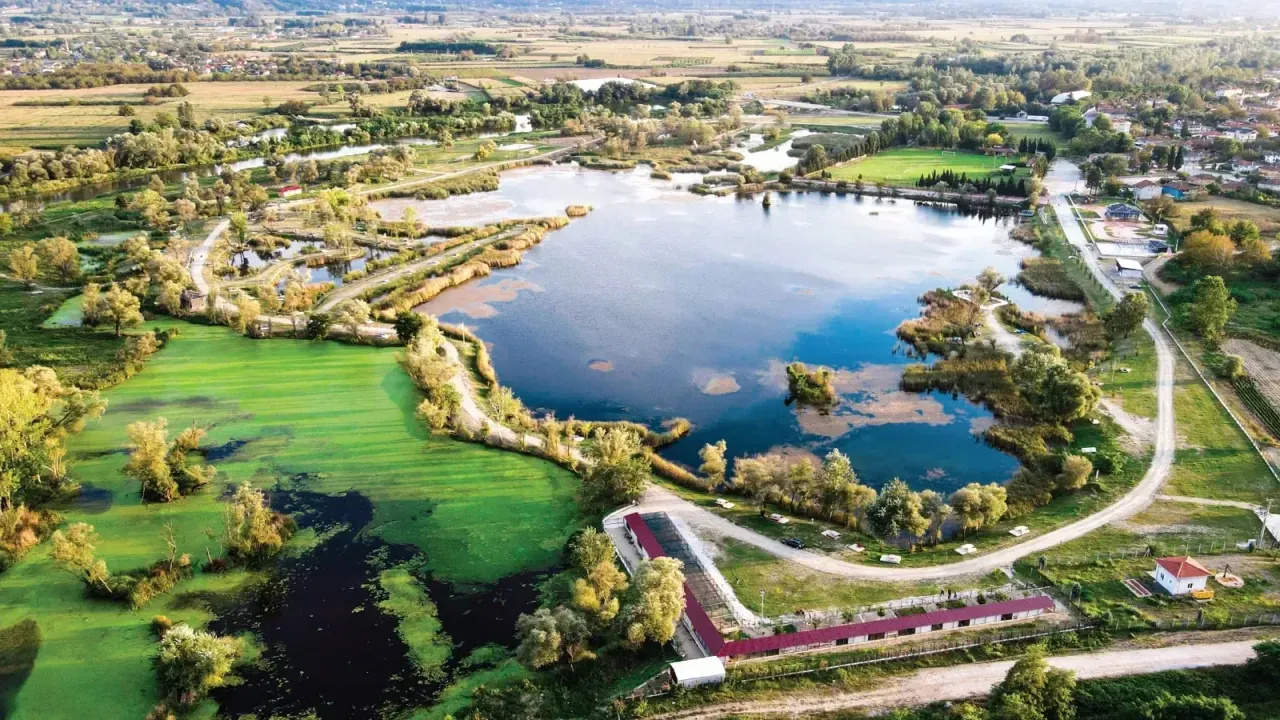 Whatsapp Image 2026 02 05 At 122747 4