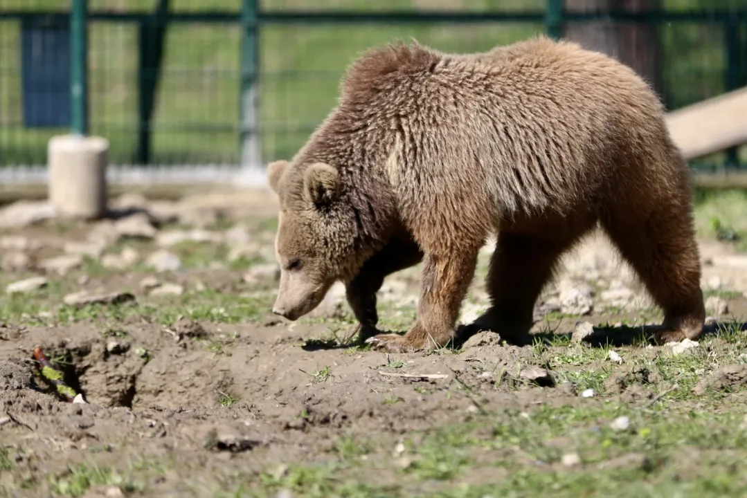 371721795 1772528299