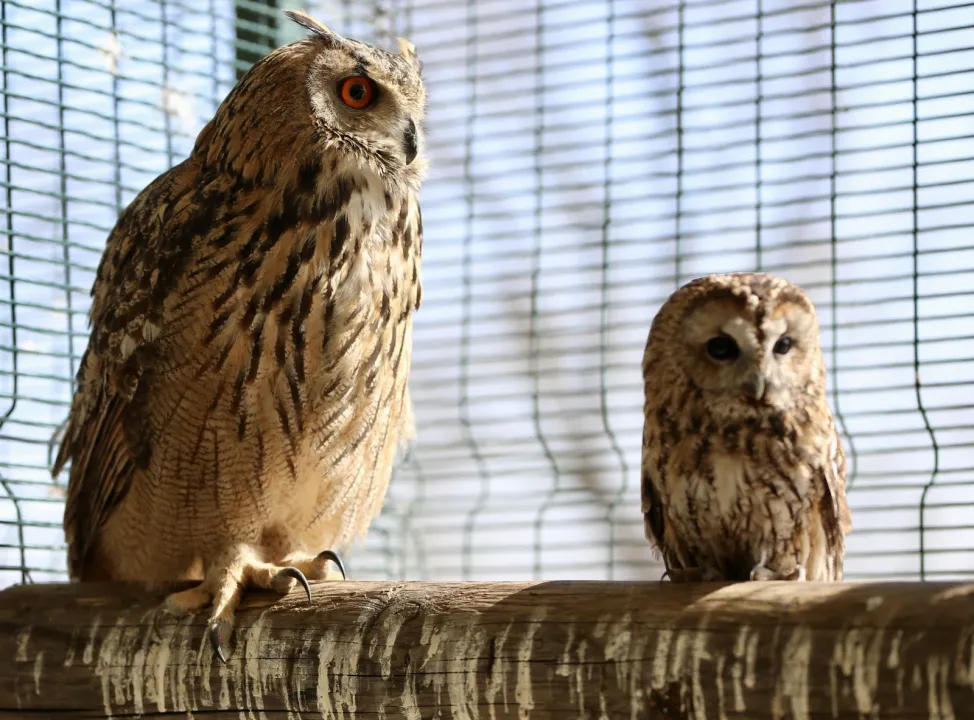 371721839 1772528300