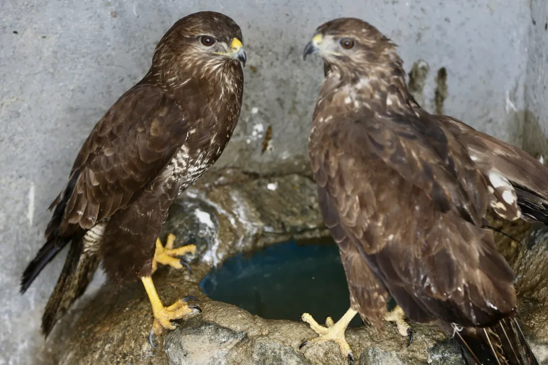 371721913 1772528301