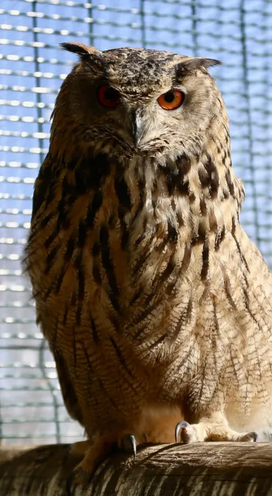 371721934 1772528301