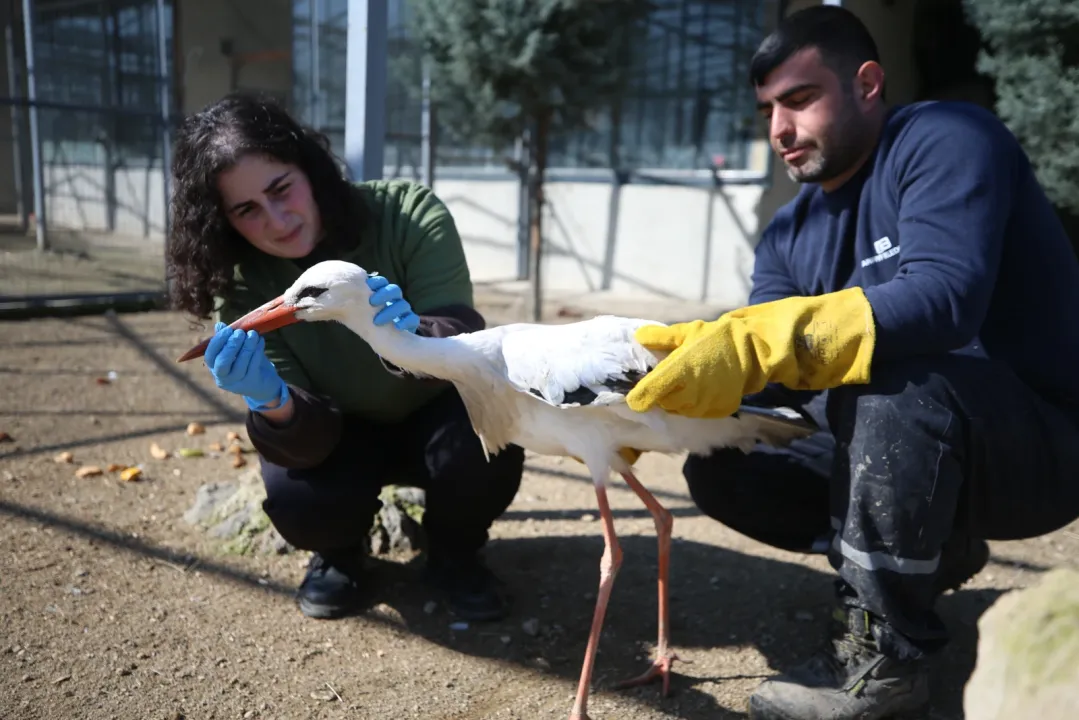 371721961 1772528299