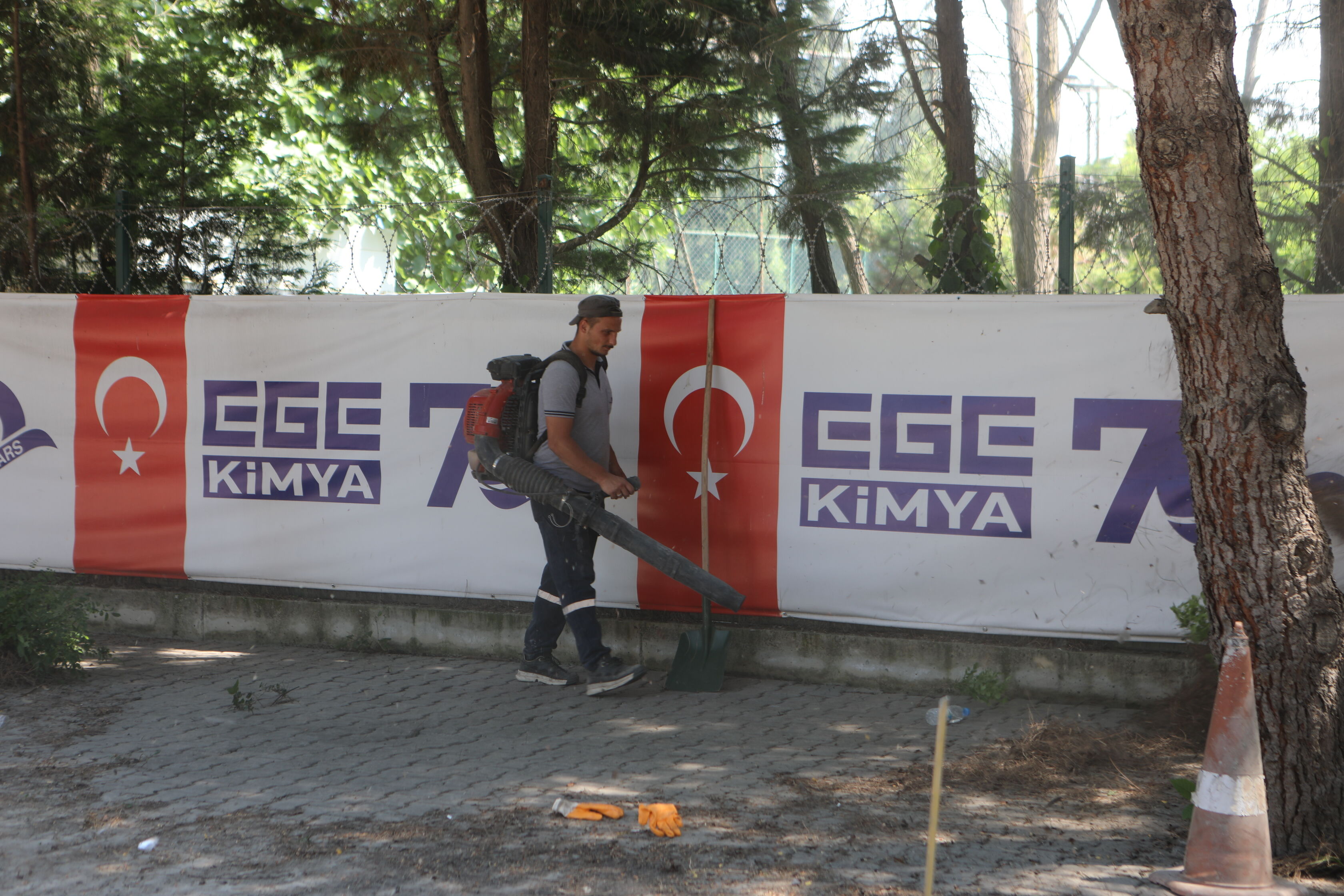 E G6 A3872