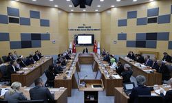 Valilikte İl Hayvan Koruma Kurulu Toplantısı