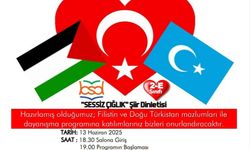 Bekir Sıtkı Durgun Öğrencilerinden ”Sessiz Çığlık” Dinletisi