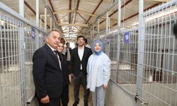 Milletvekili Çiğdem Erdoğan’dan Arifiye Belediyesi Hayvan Barınağı’na Ziyaret