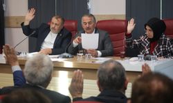 Arifiye Belediyesi Kasım Ayı Olağan Meclis Toplantısı Gerçekleşti