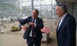 AK Parti İl Başkanı Yunus Tever’den Gölya Tabiat Parkına Övgü