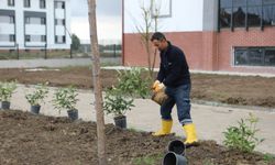 Fen Lisesi’nde Bahçe Düzenleme Çalışmaları Sürüyor
