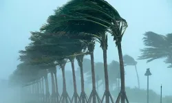 Meteoroloji Sakarya'yı sarı kodla uyardı! 90 kilometre hızla esecek