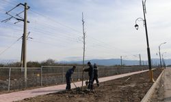 Bilecik Caddesi’nde Çalışmalarda Sona Gelindi