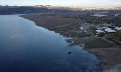 Son veriler yürekleri ferahlattı! İşte Sapanca Gölü'nün diriliş tablosu