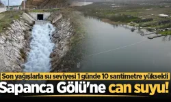 Sapanca’da olağanüstü yükseliş… Bir günde 12 santim yükseldi