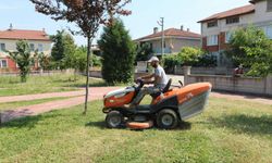 Arifiye’de Park ve Bahçeler Ekipleri Yaz Mesaisine Hız Verdi