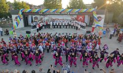 Arifiye’de Halk Oyunları Şenliği Coşkusu Yaşandı