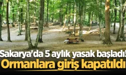 Sakarya'da orman yasağı başladı: Mesire alanlarında bile 'gün batımı' kuralı geldi!