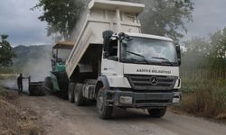 Arifiye Belediyesi Kırsal Mahalleleri Birbirine Bağlayan Yolda Asfalt Çalışmalarına Başladı