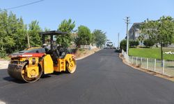 Arifiye Belediyesi Asfalt Mesaisi Devam Ediyor