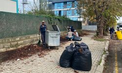 Fatih Mahallesi Selimiye Caddesi’nde Yaprak Temizliği