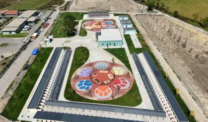 Sakarya'daki sokak hayvanları için geri sayım başladı! Türkiye’nin en modern ve fonksiyonel tesisi olacak