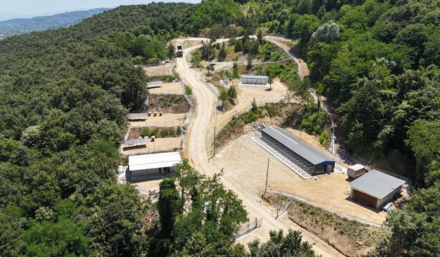 Arifiye Belediyesi Sokak Hayvanları Barınağı Hizmete Girdi