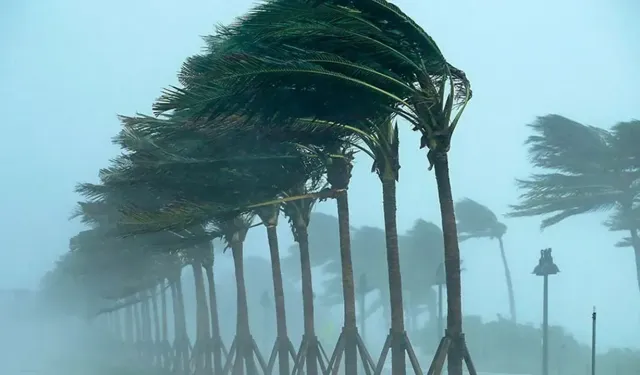 Meteoroloji Sakarya'yı sarı kodla uyardı! 90 kilometre hızla esecek