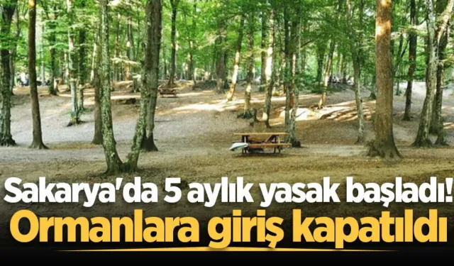 Sakarya'da orman yasağı başladı: Mesire alanlarında bile 'gün batımı' kuralı geldi!