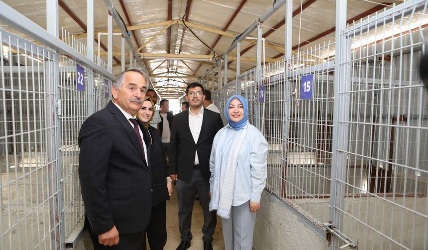 Milletvekili Çiğdem Erdoğan’dan Arifiye Belediyesi Hayvan Barınağı’na Ziyaret