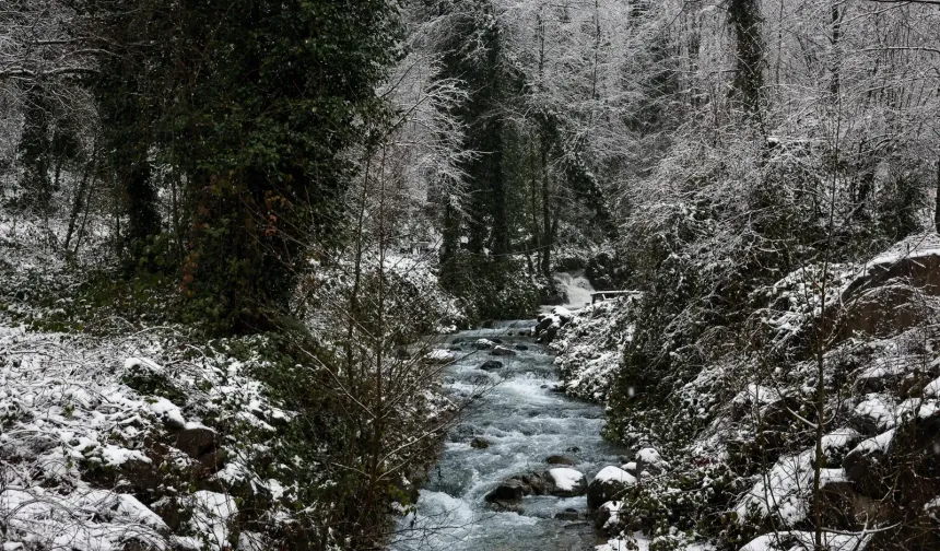 Kar bereketi Sapanca’ya can oldu: Dereler yeniden coştu