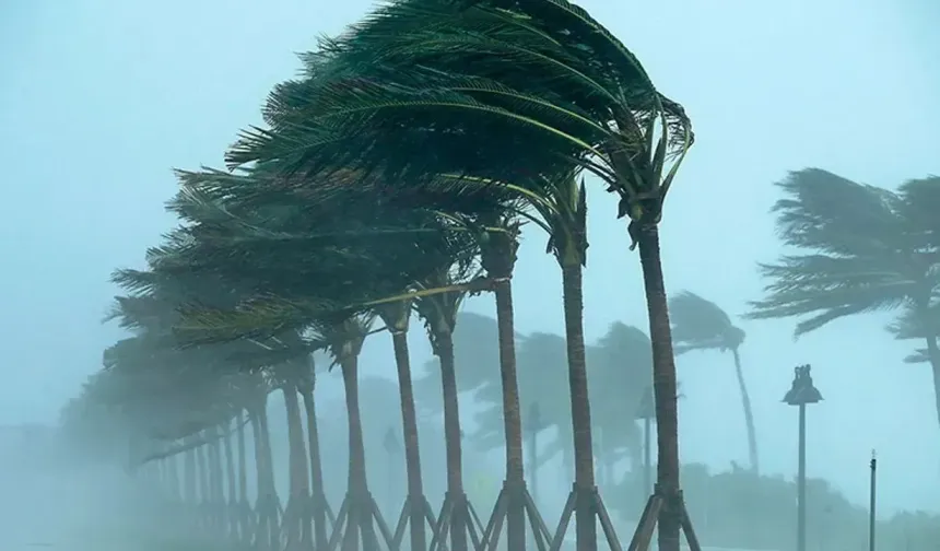 Meteoroloji Sakarya'yı sarı kodla uyardı! 90 kilometre hızla esecek