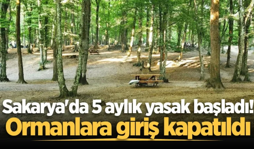 Sakarya'da orman yasağı başladı: Mesire alanlarında bile 'gün batımı' kuralı geldi!