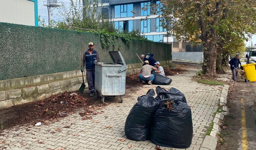 Fatih Mahallesi Selimiye Caddesi’nde Yaprak Temizliği